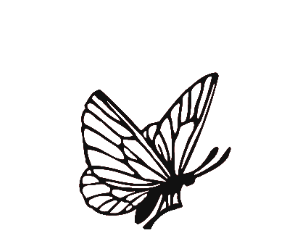 Logo Papillon Délivrance Coiffure